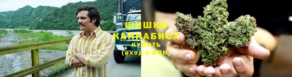 спайс Дмитриев
