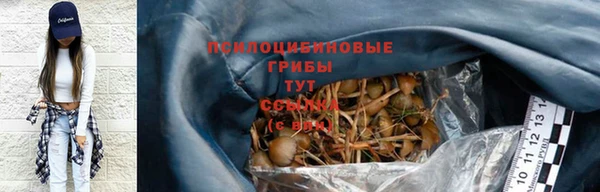 спайс Дмитриев
