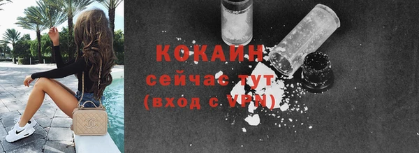 спайс Дмитриев